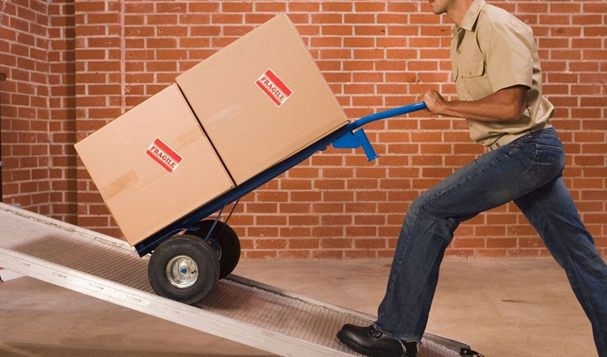 Loading Unloading Services in Lucknow